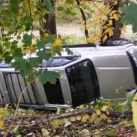 <p>The vehicle came to rest against a tree.</p>