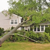 <p>Several houses in Glen Rock and Ridgewood were struck by falling trees. This was on Woodvale Road in Glen Rock.</p>