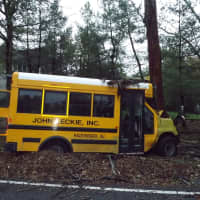 <p>The bus &quot;continued about 100 yards and hit a tree head-on.&quot;</p>