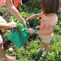 <p>Learning about Gardening from CSE Gardeners.</p>