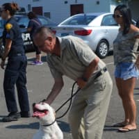 <p>Bridgeport Animal Control celebrates the groundbreaking of three new outdoor play spaces with staff member Eric Cubero and Diesel.</p>