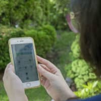 <p>Yonkers resident Rachel Nathan is addicted to Pokémon Go.</p>