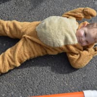 <p>Trick-or-treating proves exhausting for one young participant in Ridgefield.</p>