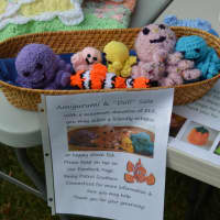 <p>Knitted &quot;doli&quot; creations from Binky Patrol</p>