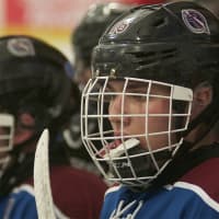 <p>Pelham beat Rye Town/Harrison Sunday at the Brewster Ice Arena to win the Section 1 Division 2 championship.</p>