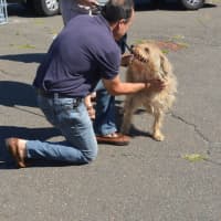 <p>Bridgeport Mayor Joe Ganim gets to know his new pal Duke at the Bridgeport Animal Control shelter.</p>