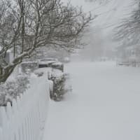 <p>No plows had visited Hackley Street in Bridgeport Thursday morning, as blustery snow continued to blanket the area.</p>