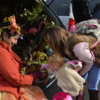 <p>Picking a treat at the Trunk or Treat event at the Redding Community Center.</p>