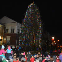 <p>Throngs of onlookers gather in downtown Mount Kisco for the annual tree lighting.</p>