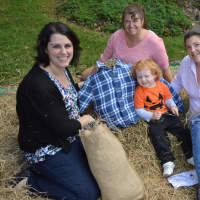 <p>There is fun for people of all ages at the annual Scarecrow Festival at Oronoque Farms in Shelton last weekend.</p>