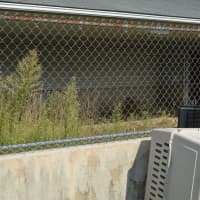 <p>One of the three pens that will be transformed into a dog play area at the Bridgeport Animal Control shelter on Evergreen Street</p>