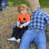 <p>The littlest visitors enjoy the annual Scarecrow Festival at Oronoque Farms in Shelton last weekend.</p>