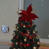 <p>Even smaller trees can be just as festive.</p>