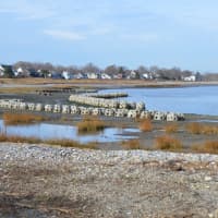 <p>SHU professor Jennifer Mattei is overseeing a project to protect Stratford&#x27;s coastline with a series of reef balls.</p>