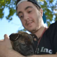 <p>Amy, an 11-week-old Boxer-mix, cuddles with Alex.</p>