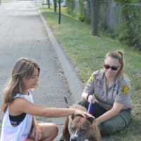 <p>Charlotte Lynne, left, and Chief Animal Control Officer Jennifer Wallace spend some one-on-one time with shelter guest Charlotte.</p>