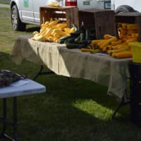 <p>Fresh vegetables are for sale at the Newtown Farmers Market located at Fairfield Hills every Tuesday from 2-6 p.m.</p>