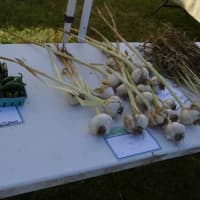 <p>Fresh vegetables are for sale at the Newtown Farmers Market located at Fairfield Hills every Tuesday from 2-6 p.m.</p>