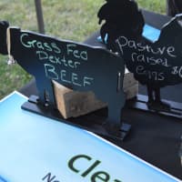 <p>Animal signs on the table for Aradia Farms from Southbury.</p>