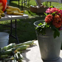 <p>Fresh flowers from Shortt&#x27;s Farm &amp; Garden Center from Sandy Hook.</p>