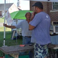 <p>Fresh vegetables are for sale at Newtown farmer&#x27;s market located at Fairfield Hills every Tuesday from 2-6 p.m.</p>
