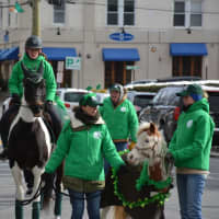 <p>13 Hands Equine Rescue participates in Mount Kisco&#x27;s St. Patrick&#x27;s Day parade.</p>