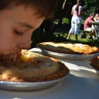 <p>This kid really digs his faces into the fresh pies — they have a choice of either cherry or apple!</p>