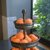 <p>No, they&#x27;re not oranges. A bevy of balls tempts clients at Wag Central in Stratford.</p>
