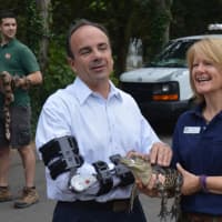 <p>Bridgeport Mayor Joe Ganim makes a reptilian friend at Beardsley Zoo. (Ganim recently had arm surgery.)</p>