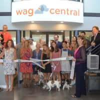 <p>Stratford dignitaries were on hand for the official ribbon cutting at Wag Central.</p>