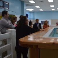 <p>Owner Angela Pantalone, center, shows visitors the pooch pool at Wag Central in Stratford.</p>