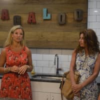 <p>Owner Angela Pantalone, left, gives a tour of Wag Central, an inventive new doggy spa/salon/kennel in Stratford.</p>