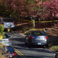 <p>Police investigate the area of Norfield Road where human remains were found Thursday</p>