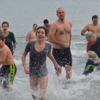 <p>A sizable contingent of swimmers brave the cold and took a plunge into Long Island Sound in Greenwich to celebrate the New Year on Friday afternoon.</p>