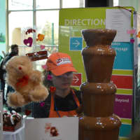 <p>A chocolate fountain keeps the fun bubbling at the Chocolate Expo.</p>