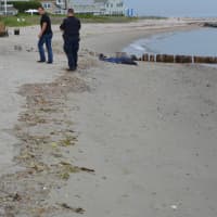 <p>Fairfield police wait with the body of a man who washed up on shore Thursday afternoon.</p>