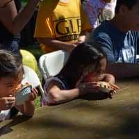 <p>A kids&#x27; pie-eating contest at the Armonk Fall Festival</p>