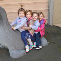 <p>How many kids fit on a seal?</p>