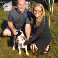 <p>Even the dogs and their owners like to come out and socialize at Shelton Sounds!</p>