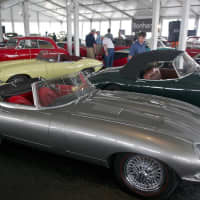 <p>These cars are ready for auction.</p>