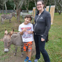 <p>Attendees at the annual fall festival at Plasko&#x27;s Farm in Trumbull check out the miniature donkeys.</p>