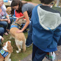 <p>The Newtown-Strong Therapy Dogs draw a crowd at the sixth annual Passport to Sandy Hook event held by the Sandy Hook Organization for Prosperity.</p>