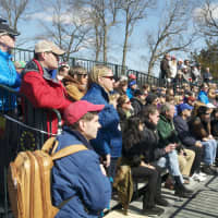 <p>Fans watch the action Sunday in Darien.</p>