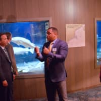 <p>Davis takes visitors through an exhibit on fishing in Long Island Sound</p>