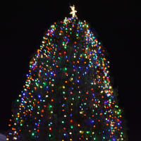 <p>Mount Kisco&#x27;s downtown Christmas tree, pictured shortly after its annual lighting.</p>