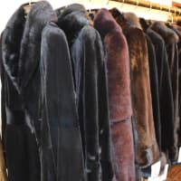 <p>Fur coats hang in Closter Furs and Fashions.</p>