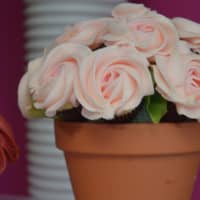 <p>Forever Sweet Bakery bakery offers sweet treats, including &quot;bouquets&quot; made of mini-cupcakes.</p>