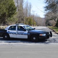 <p>A Stamford police cruiser blocked Wedgemere Street Tuesday afternoon, where a 25-year-old man was shot by police.</p>