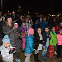 <p>Onlookers gather on the Village Green for Bedford Village&#x27;s annual Christmas tree lighting.</p>