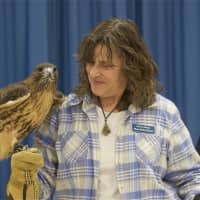 <p>Horizon Wings founder Mary-Beth Kaeser and Dakota, a red-tailed hawk.</p>